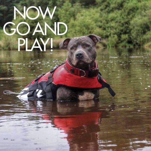 Vestă de salvare pentru câini EzyDog DFD XS - Ajutor de înot impermeabil pentru câini de până la 11 kg, Roșu, Ajustabilă, Cu elemente reflectorizante