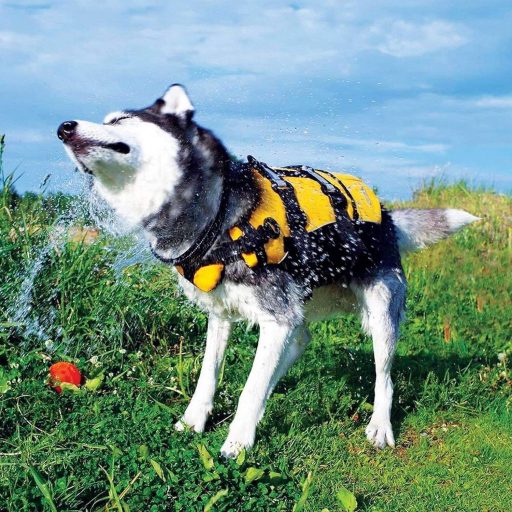 Vestă de salvare pentru câini EzyDog DFD XS - Ajutor de înot impermeabil pentru câini de până la 11 kg, Roșu, Ajustabilă, Cu elemente reflectorizante