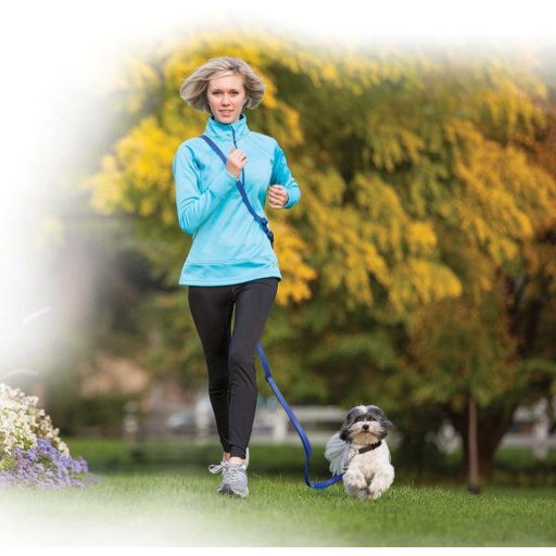 Narancssárga színű 45-55cm-es kutyanyakörv