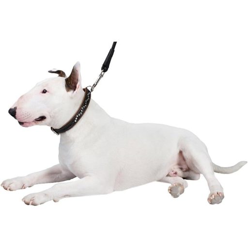 CollarDirect Zgardă pentru câini din piele naturală, lucrată manual - Zgardă maro, moale, căptușită, cu ținte, pentru câini de talie medie, 33-36 cm