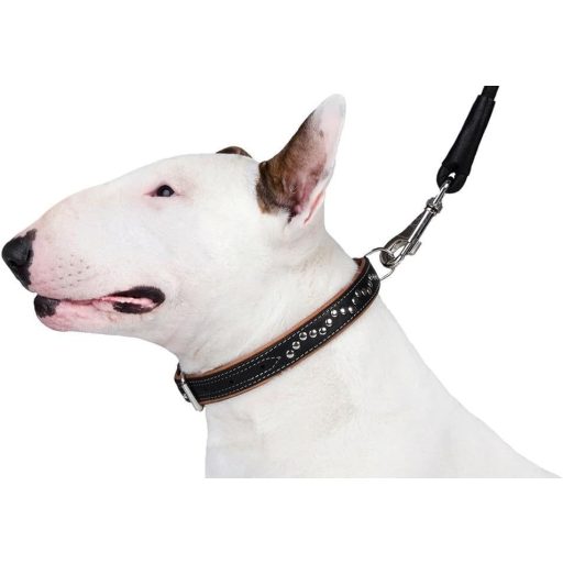 CollarDirect Zgardă pentru câini din piele naturală, lucrată manual - Zgardă maro, moale, căptușită, cu ținte, pentru câini de talie medie, 33-36 cm