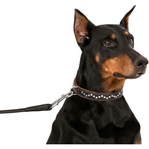 CollarDirect Zgardă pentru câini din piele naturală, lucrată manual - Zgardă maro moale, căptușită, cu ținte, pentru câini de talie medie, 50-55