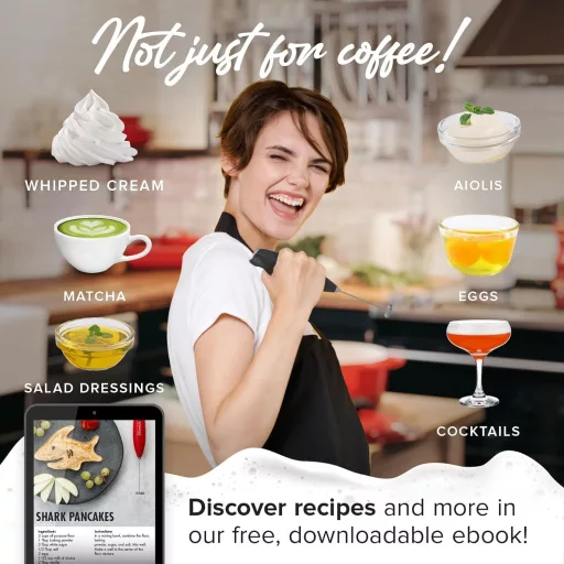 POWERLIX Spumant de lapte electric cu suport din oțel inoxidabil - 19000 rpm, mixer manual pentru lapte pentru cafea, cappuccino, ciocolată caldă, negru