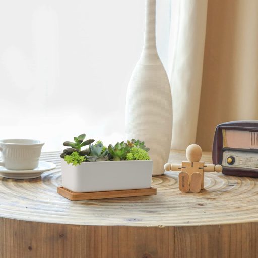 Keramický kvetináč na kaktusy T4U s bambusovým podstavcom, obdĺžnikový kvetináč na sukulenty