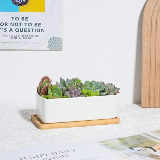 Keramický kvetináč na kaktusy T4U s bambusovým podstavcom, obdĺžnikový kvetináč na sukulenty