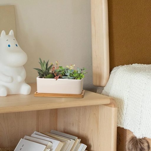 Keramický kvetináč na kaktusy T4U s bambusovým podstavcom, obdĺžnikový kvetináč na sukulenty