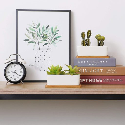 Keramický kvetináč na kaktusy T4U s bambusovým podstavcom, obdĺžnikový kvetináč na sukulenty