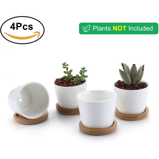 T4U Kerámia Szukkulenta Cserép Bambusz Alátéttel Téglalap Kaktusz Virágcserép