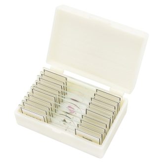   Bresser Mikroszkóp Készített Tárgylemez Szett 10 db Fehér