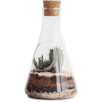   SUCK UK Kémia Terrarium Készlet - Üveg Növénytartó Szett