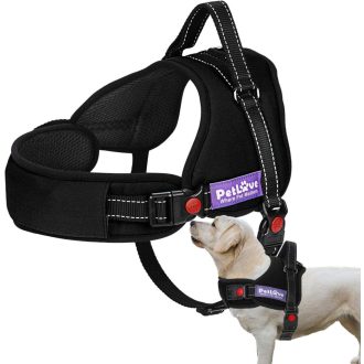 Párnázott Kutya Hám Fényvisszaverővel, M - Fekete