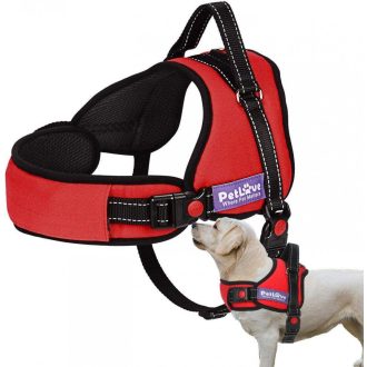   Kutyahám Kis-Nagy Méretű Kutyáknak, Állítható, Párnázott, Vörös