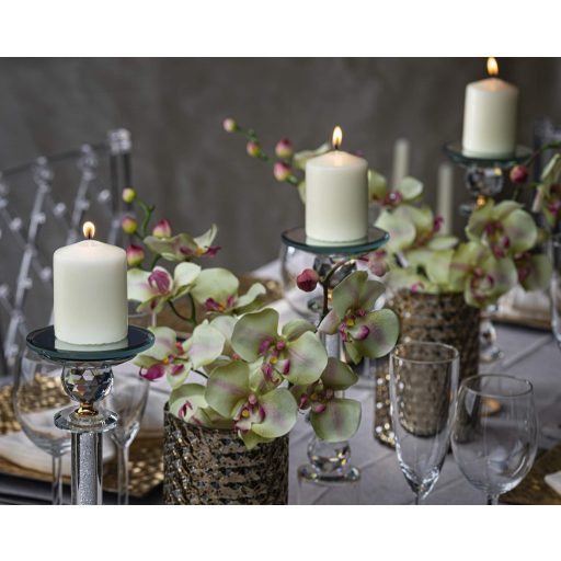 Bolsius 12 darabos Ivory Gyertyaszett Téli Fenyő Illattal