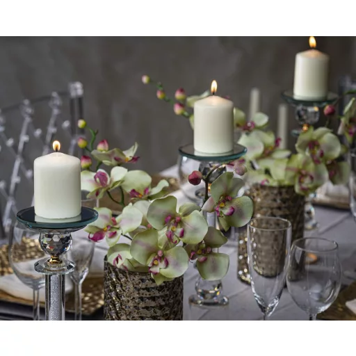 Set 12 lumânări Bolsius Ivory cu aromă de pin de iarnă