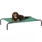 Amazon Basics Hűtő Emelt Kutyaágy S Méret Zöld - S, green, Raised Bed