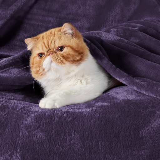 BEDSURE Puha Fleece Takaró 150x200 cm Lila Kanapé Pléd Téli Meleg Blanket