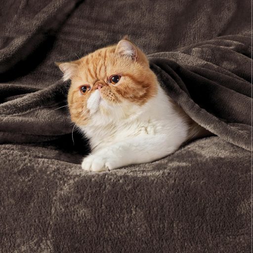 Mäkká fleecová deka BEDSURE 150x200 cm, teplý zimný prehoz na pohovku, hnedá