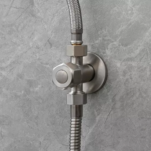 Tecmolog rozsdamentes acél hordozható bidé csap WC-hez állvánnyal és 1.2m csővel