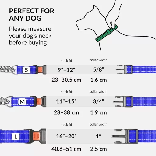Zgardă Martingale CollarDirect pentru câini, cu lanț din oțel inoxidabil, albastră, medie