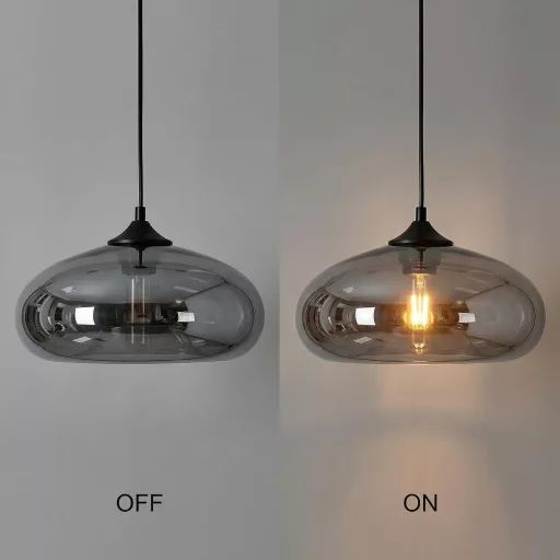 Lustră suspendată industrială vintage de tavan HJXDtech Loft cu sticlă gri fumurie.