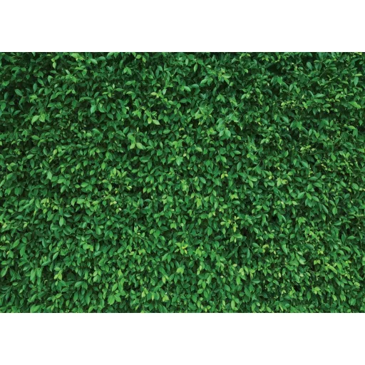 LYWYGG 3x2,4m Fundal Foto Frunze Verzi pentru Petrecere de Aniversare, Fotowall fără Cusur