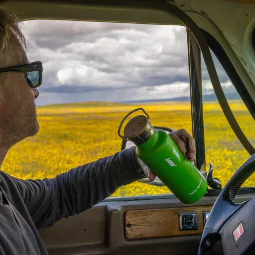 Termos din oțel inoxidabil Super Sparrow 350-1000 ml, sticlă sport etanșă, fără BPA - 620 uncii fluide, Verde (Salvie)