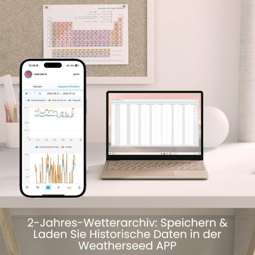 Sainlogic SA6 Plus Wi-Fi Intelligens Időjárásállomás Csapadékmérővel és Szélmérővel