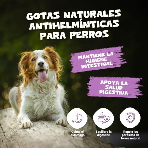 BootyBay Pets Purest Spanyol Fehér Üröm Kivonat - Folyékony Állatgyógyászati Készítmény Felnőtt Háziállatoknak, 60g