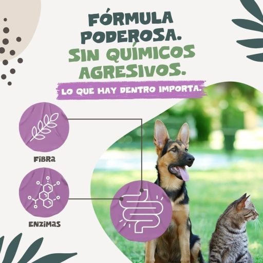 BootyBay Pets Najčišći Španjolski Bijeli Pelin Ekstrakt - Tekući veterinarski pripravak za odrasle kućne ljubimce, 60g