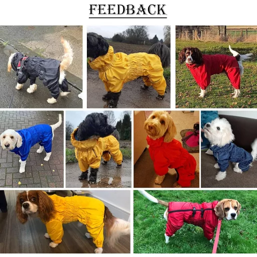 MOREZI Kutyaesőkabát Reflektív Sávokkal és Cipzárral S Méret Fekete