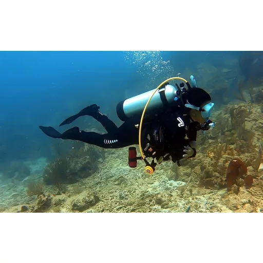 ZCCO 3mm Neoprén Teljes Test Wetsuit Cipzárral Búvárkodáshoz