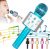 KIDWILL 5 az 1-ben Bluetooth Karaoke Mikrofon Hangszóróval és FM Rádióval, Gyerekeknek és Felnőtteknek