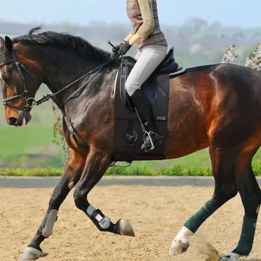 BootyBay Lovas Haspánt XL - Fekete Sarkantyúnyom Elleni Védelem, Rugalmas Légáteresztő Anyag, Vastag Polár Béléssel