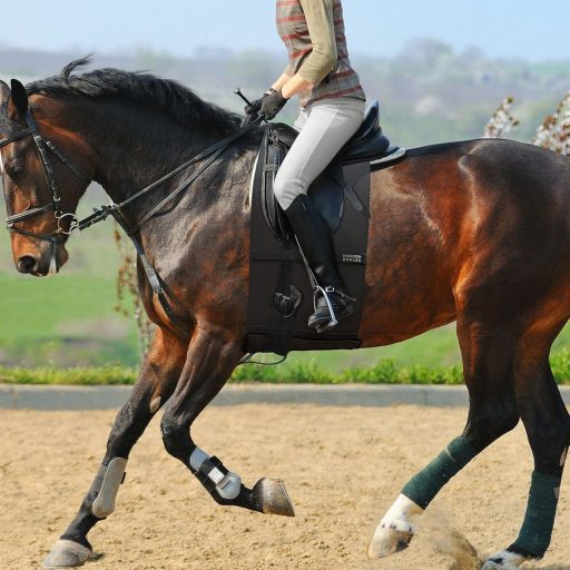 BootyBay Lovas Haspánt XL - Fekete Sarkantyúnyom Elleni Védelem, Rugalmas Légáteresztő Anyag, Vastag Polár Béléssel