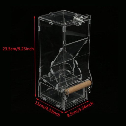 Akril madár automata etető kisebb madarak számára