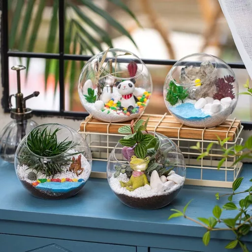 Glasseam 10cm Mini Üveg Terrarium Szett 4db Asztali Dekoráció Szukkulens Kaktusz
