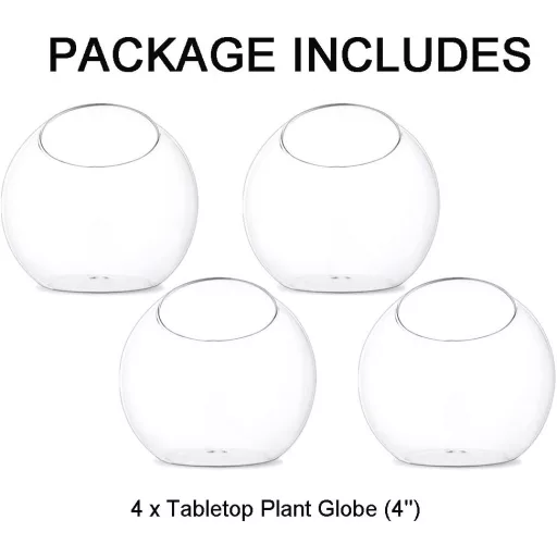 Glasseam 10cm Mini Stakleni Terarij Set 4kom Stolna Dekoracija Sukulent Kaktus