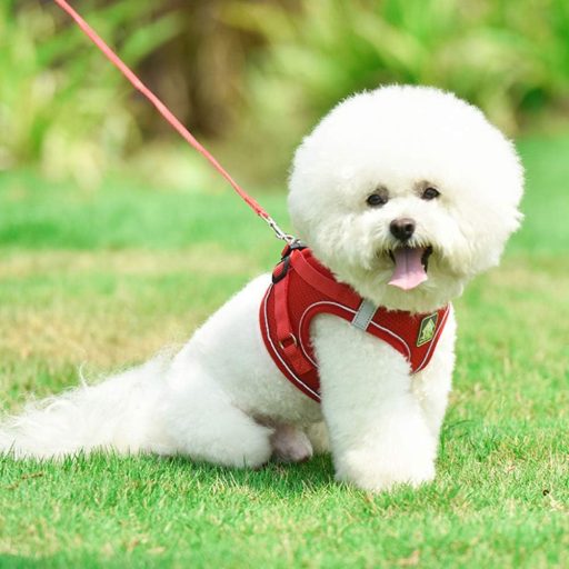 FEimaX Mekana Mrežasta Oprsnica za Pse, Oprsnica za Mačke, za Male Pse, Prozračna, Podesiva, Reflektirajuća