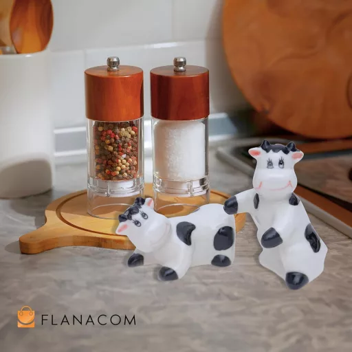 Flanacom Porcelánová soľnička a korenička sloní pár - Vtipný darček na korenie