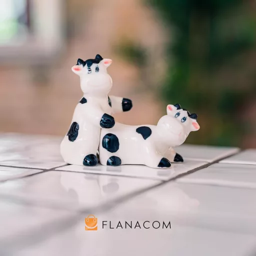Flanacom Porcelánová soľnička a korenička sloní pár - Vtipný darček na korenie