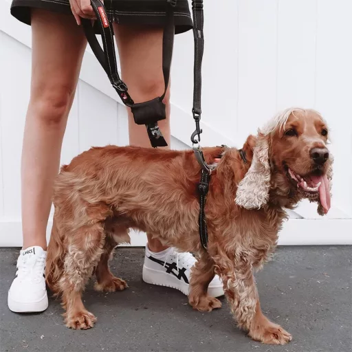 Ham EzyDog Crosscheck Antitorsiune cu Funcție de Control - Ham tip Vestă Roșie pentru Câini de Talie Mică, Medie și Mare, Reflectorizant, Ajustabil XL