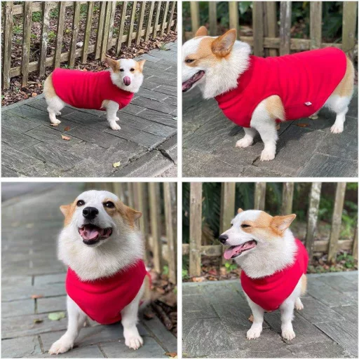 Kutya télikabát, Meleg Légáteresztő Polár Fleece, Póráznyak Lyukkal, Piros L