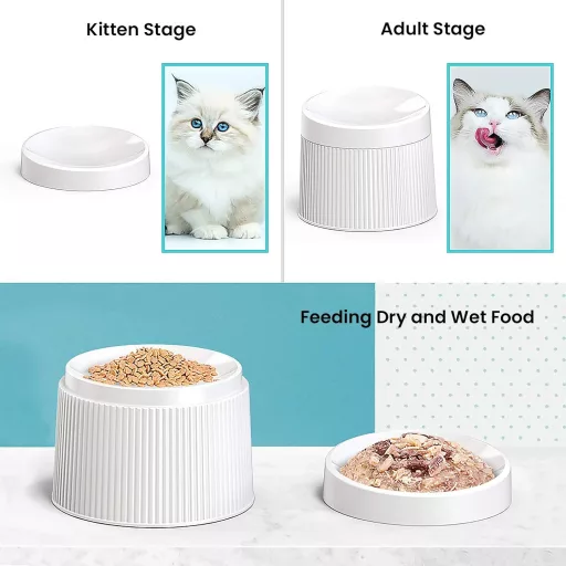 iPettie podignuta posuda za mačke sa stalkom, protuklizna hranilica za pse