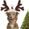 Vianočný kostým pre psa VALICLUD - čelenka so sobími parohmi a čiapkou