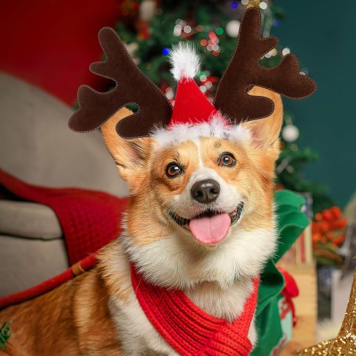 Vianočný kostým pre psa VALICLUD - čelenka so sobími parohmi a čiapkou