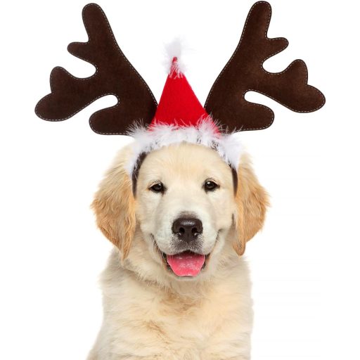 VALICLUD Kutya Karácsonyi Jelmez Rénszarvas Agancs Fejpánt Kalappal