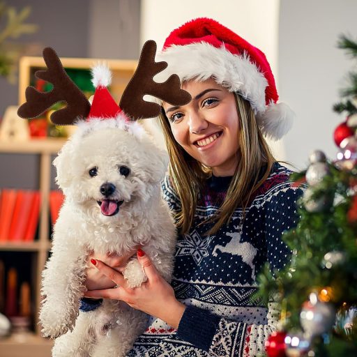 VALICLUD Kutya Karácsonyi Jelmez Rénszarvas Agancs Fejpánt Kalappal