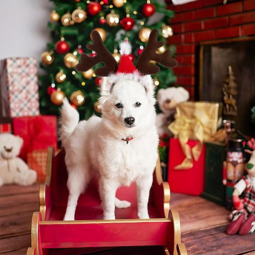 VALICLUD Costum de Crăciun pentru câini, ren, cu coarne și bentiță cu pălărie