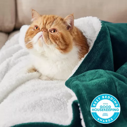 BEDSURE Sherpa Plüss Takaró 150x200cm Sötétzöld Kanapé Pléd Meleg Flanel Blanket