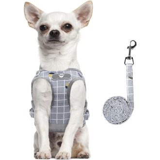   FEimaX Kutyahám Pórázzal - Puha, Légáteresztő Hálós Heveder Kisméretű Kutyáknak és Macskáknak, Állítható, Fényvisszaverő, M-es Méret, Szürke